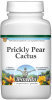 Cactus - Health - Prickly Pear Cactus - Nopal Opuntia - Powder