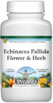 Echinacea Pallida Flower and Herb Powder