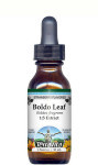 Boldo Leaf Liquid Extract / Tincture (1:5) - Strawberry Flavored Alcohol-Free