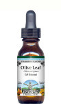 Olive Leaf Liquid Extract / Tincture (1:5) - Strawberry Flavored Alcohol-Free