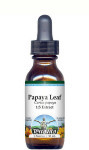 Papaya Leaf Liquid Extract / Tincture (1:5) - Alcohol-Free
