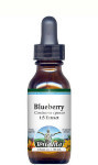 Blueberry Root Liquid Extract / Tincture (1:5) - Alcohol-Free