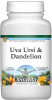 Urinary Tract Infections and Inflammation - Health - Uva Ursi & Dandelion Combination Powder