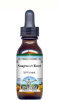 Soapwort Root Liquid Extract / Tincture (1:5) - Vanilla Flavored Alcohol-Free