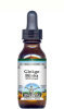 Ginkgo Biloba Leaf - Health - Ginkgo Biloba Liquid Extract / Tincture (1:5) - Vanilla Flavored Alcohol-Free