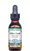 Olive Leaf Liquid Extract / Tincture (1:5) - Vanilla Flavored Alcohol-Free