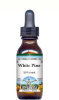 White Pine Bark Liquid Extract / Tincture (1:5) - Vanilla Flavored Alcohol-Free
