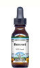 Boneset Liquid Extract / Tincture (1:5) - Mint Flavored Alcohol-Free
