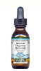 French Boxwood Liquid Extract / Tincture (1:5) - Vanilla Flavored Alcohol-Free