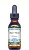 Cherry Stems Liquid Extract / Tincture (1:5) - Vanilla Flavored Alcohol-Free