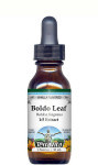 Boldo Leaf Liquid Extract / Tincture (1:5) - Vanilla Flavored Alcohol-Free