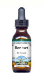 Boneset Liquid Extract / Tincture (1:5) - Vanilla Flavored Alcohol-Free