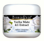 Extra Strength Yerba Mate 4:1 Extract Salve / Ointment