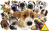 Hana Deka Dogs - 1000 Pieces