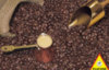 Coffee - 1000 Pieces