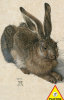 Durer, Hare - 1000 Pieces