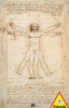 Leonardo da Vinci, Study of Proportions - 1000 Pieces