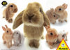 Hana Deka Bunnies - 100 Pieces