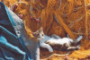 High Quality Collection - Sailor's Cat - 1000 Pieces