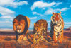 High Quality Collection - The Wild Life - 1000 Pieces