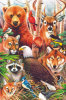 High Quality Collection - Magic Animals - 1000 Pieces
