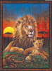 High Quality Collection - Lion Sunset - 1000 Pieces