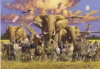 High Quality Collection - Wild Life - 1000 Pieces
