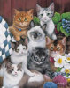 High Quality Collection - Cuddly Kittens - 1000 Pieces