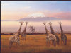 High Quality Collection - Giraffes - 1500 Pieces