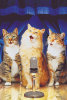 High Quality Collection - The 3 Tenors - 500 Pieces