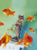 High Quality Collection - Fishing - 500 Pieces