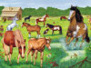 Super-Sized Floor Puzzle - Horses Galore - 24 Pieces
