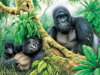 Gorillas - 60 Pieces