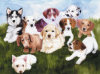 Puppy Buddies - 60 Pieces