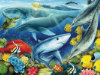 Oceanscape - 35 Pieces