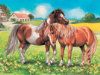 /trait100931/quests100306/critiquet1206883 and up - Toys products - Ponies - 35 Pieces