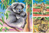 Australian Animals - 49 Pieces - Set of 3