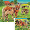 At the Paddock - 20 Pieces - Set of 2
