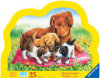 /trait100931/quests100306/critiquet1206883 and up - Toys products - Playful Puppies - 25 Pieces