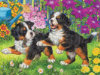 Cute Puppies - 100 Pieces