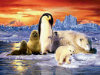 Arctic Animals - 200 Pieces