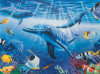 Dolphins - 300 Pieces