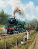 Watching the Train - 500 Pieces