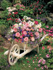 Wheelbarrow of Flowers - 500 Pieces