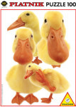 Hana Deka Ducks - 100 Pieces