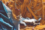 High Quality Collection - Sailor's Cat - 1000 Pieces