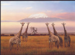 High Quality Collection - Giraffes - 1500 Pieces