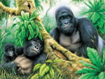 Gorillas - 60 Pieces