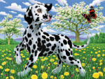 Dalmatian Puppy - 35 Pieces