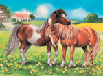 Ponies - 35 Pieces